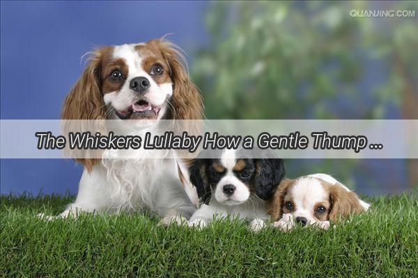 The Whiskers Lullaby How a Gentle Thump of Paws Can Soothe Your Furry Friend to Sleep